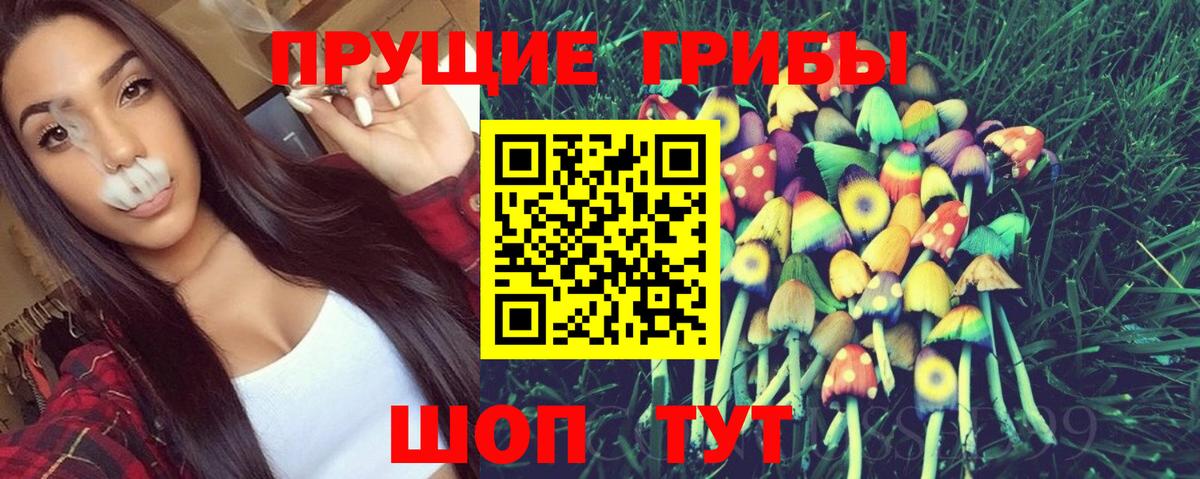 Псилоцибиновые грибы Cubensis Новороссийск