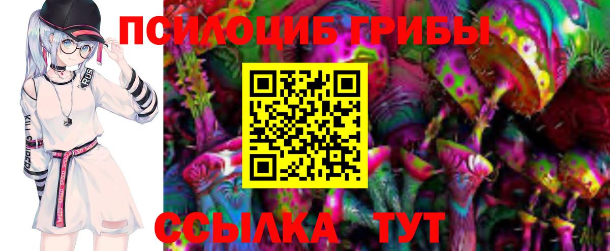 Псилоцибиновые грибы Cubensis  Вход с VPN  Новороссийск 